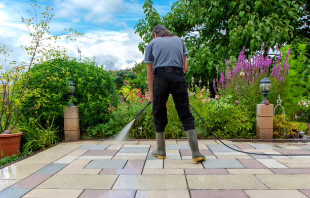Best Pool Deck Cleaning  in Hemlock, MI